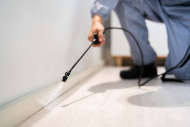 Bed Bug Pre-Treatment Preparation Assessment in Charleston