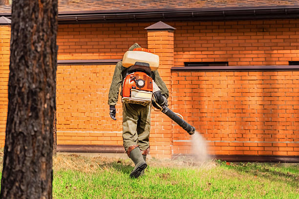 Bed Bug Clearance Verification and Documentation in Charleston